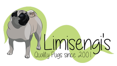 Limisengis_logo_transparant.png