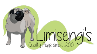 Limisengis_logo_transparant1.png