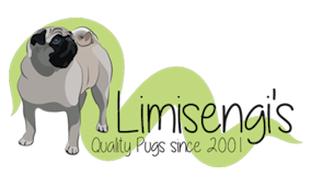 Limisengis_logo_transparant2.png