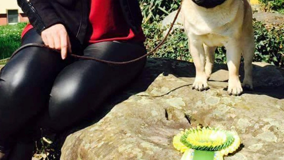 Limisengi’s Nickelback “Gamba”