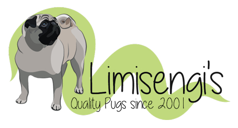 limisengis_logo-1.jpg