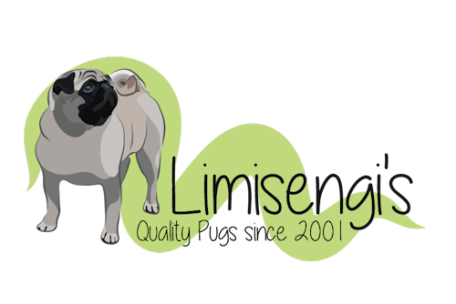 limisengis_logo.jpg